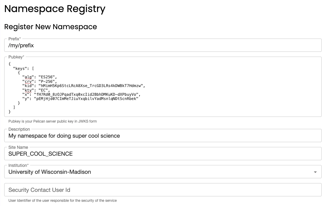 User-fillable fields for namespace registration